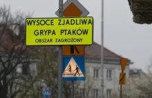 Ptasia grypa pod Wrocławiem. Część miasta zagrożona