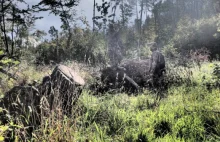 Są zawsze gotowi na najgorsze, czyli wujkowie foliarze w realu