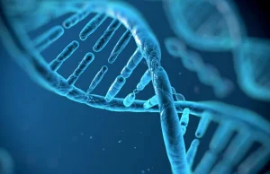 Węgry: Naukowcy określili pełny kod genetyczny koronawirusa