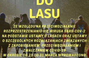 Zakaz wstępu do lasu: koronawirus nie jest podstawą zakazu wstępu do lasu