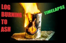 Log burning to Ash TimeLapse 4K