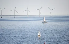 Vattenfall dostrzega potencjał rozwoju morskich farm wiatrowych w Polsce