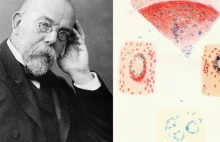 Tego dnia, 24 marca 1882 r., dr Koch odkrył bakterie powodujące gruźlicę