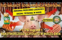 Trybunał w Hadze uznał Glifosat jako zbrodnię przeciwko ludzkości! CICHA...