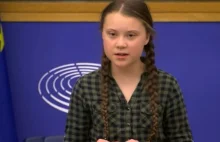 Greta Thunberg: Miałam objawy koronawirusa, ale w Szwecji takie osoby jak...