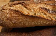Piekarnia z Poznania piecze online. Każdy może upiec chleb w domu [PORADNIK]