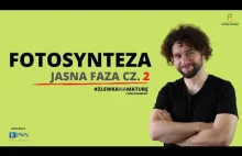 Fotosynteza - faza jasna cz.2 [Zlewka na maturę... i inne egzaminy