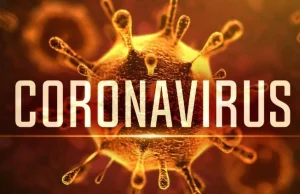 THE CORONA IS A MAN-MADE VIRUS WITH AN HIV-LIKE COMPONENT – SCIENTIST DONGEN