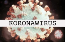 Koronawirus. Jak Się Przed Nim Zabezpieczyć? | Blog Filar Zdrowia