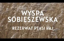 Wyspa Sobieszewska - Rezerwat Ptasi Raj