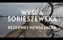 Wyspa Sobieszewska - Rezerwat Mewia Łacha