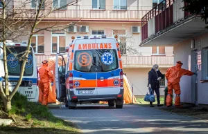 3 zakażonych zmarło w jednym powiecie