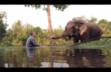 Słoń i jego przyjaciel, człowiek