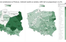 Struktura wieku w Polsce - powyżej 65, 75, 85 lat wg województw i powiatów
