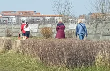 Dziś polacy tłumnie wyszli na spacery. Na Katowickiej Dolinie Trzech Stawów Tłok