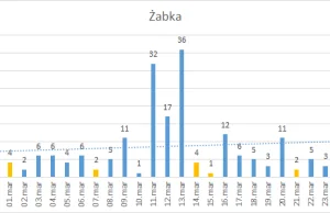 Sytuacja rynkowa i zapotrzebowanie na pracowników na marzec 2020