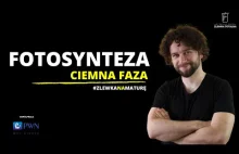 #10 Faza ciemna - Fotosynteza