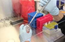 Lubelska firma zarejestrowała test genetyczny do wykrywania wirusa. Wynik po 2h