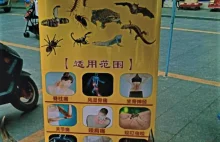 W Chinach znów sprzedawane są nietoperze i inne zwierzęta na mokrych targach