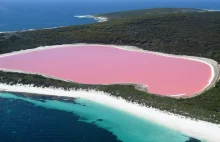 Różowe jeziora - co to za zjawisko?