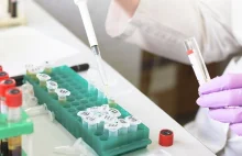 Polscy naukowcy dostali zgodę na badania leków, które pomogą w walce z epidemią