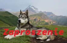 Zaproaszam na prelekcję podróżniczą online - Autem do Gruzji przez Bałkany...