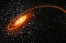Astronomowie odkryli nową czarną dziurę