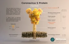 Capturing the COVID-19 Demogorgon (aka spike) in action – Folding@home