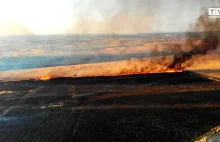 150 hektarów spłonęło