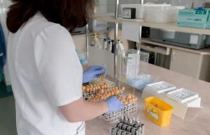 WHO zaczyna testy na obecność przeciwciał, by poznać prawdziwy rozmiar epidemii