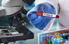 Naukowcy: koronawirus ewoluuje. Są dwie nowe odmiany