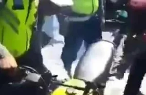 Policja tłumaczy gościom na motocyklach, że mają za głośne wydechy