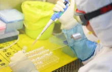 Sky News AU mówi głośno o ucieczce wirusa z laboratorium i odszkodowaniu od Chin