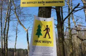 Rzecznik Praw Obywatelskich: zakaz wstępu do lasu nie ma podstawy prawnej.