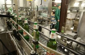 Perła wstrzymała produkcję piwa w Lublinie. Pracownik browaru zakażony.
