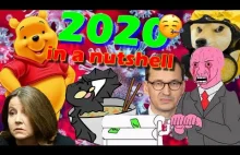 2020 in a nutshell ( ͡° ͜ʖ ͡°)