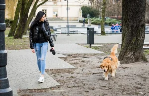 Policja straszy mandatem za wyjście z psem na spacer