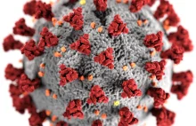 Nowy test na koronawirusa umożliwi badanie miliona ludzi dziennie