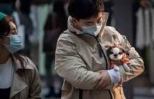 Chiny rozważają klasyfikację psów jako zwierząt domowych, a nie inwentarza