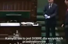 Budka i Kosiniak-Kamysz chwalą Morawieckiego