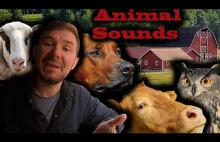 Polish/English Animal Sounds- with Special Guest Russell from "Love my...