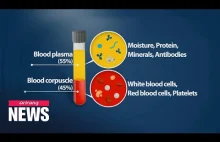 S. Korean researchers prove effectiveness of blood plasma treatment on...