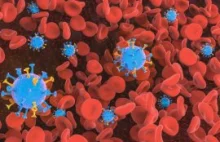 Naukowcy: witamina D pomaga w walce z pandemią Covid-19