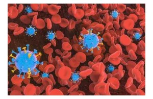 Naukowcy: witamina D pomaga w walce z pandemią Covid-19