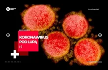 Koronawirus pod lupą | Co to właściwie są wirusy i jak się namnażają?