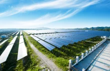 Największa farma solarna w Europie rozpoczyna pracę