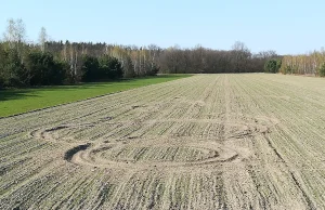 Dzban na quadzie w Wielkanoc zniszczył posiane pole w Janówku