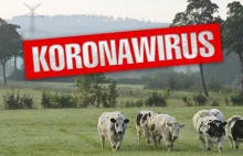 Polskie rolnictwo czeka kryzys