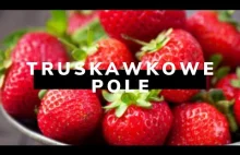 Truskawkowe pole | Inspiracje URODA