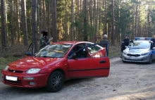 Mandat za sprzątanie lasu? Straż leśna zaskoczyła grupkę młodych mężczyzn